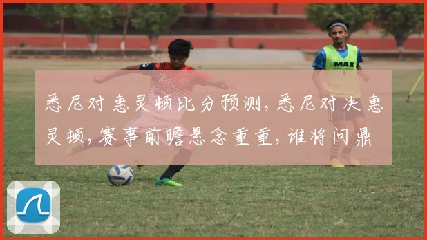 悉尼对惠灵顿比分预测,悉尼对决惠灵顿,赛事前瞻悬念重重,谁将问鼎胜利