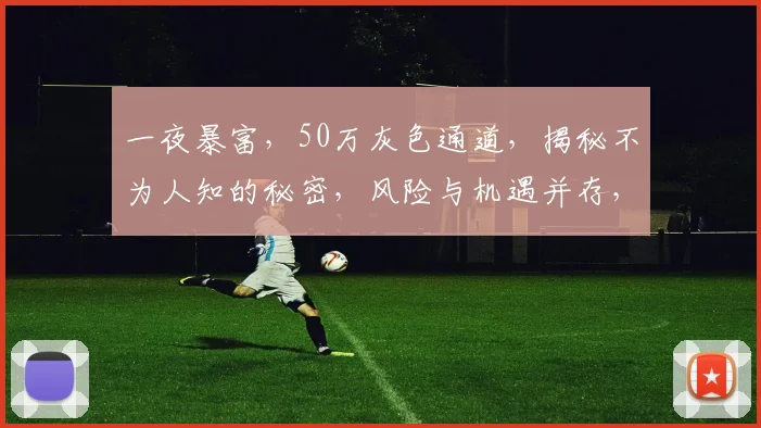 一夜暴富，50万灰色通道，揭秘不为人知的秘密，风险与机遇并存，你敢尝试吗