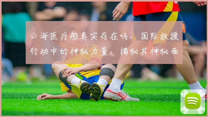 公海医疗船真实存在吗，国际救援行动中的神秘力量，揭秘其神秘面纱，三大亮点引人关注